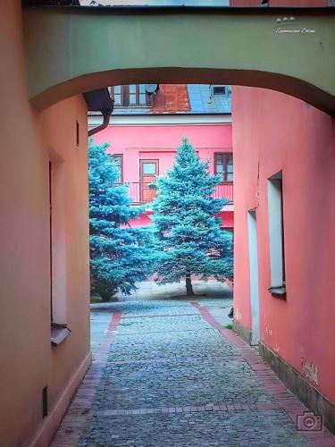 zamosc36