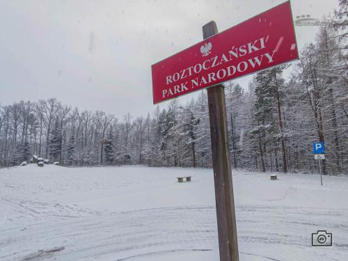 2025.01.12 - SZEWNIA DOLNA, ŚCIEŻKA DO WOJDY