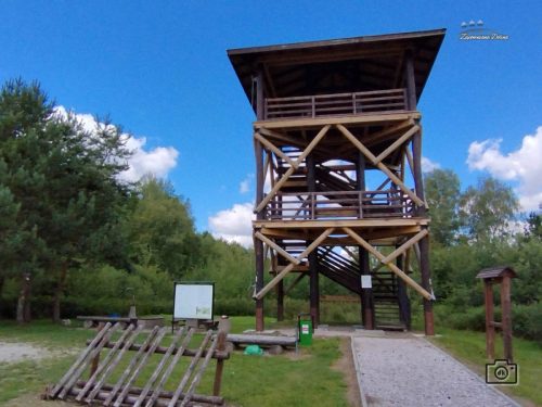 2025.07.23 - WIERZCHOWINY