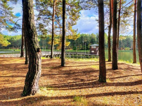 IMG 20251019 121750049 HDR AE