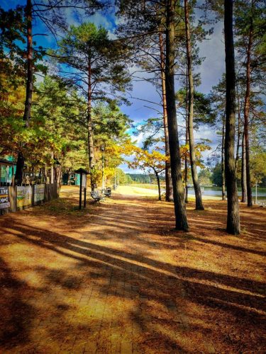 IMG 20251019 121754401 HDR AE