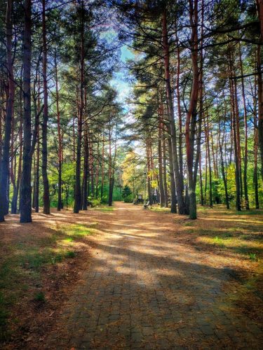 IMG 20251019 121825071 HDR AE