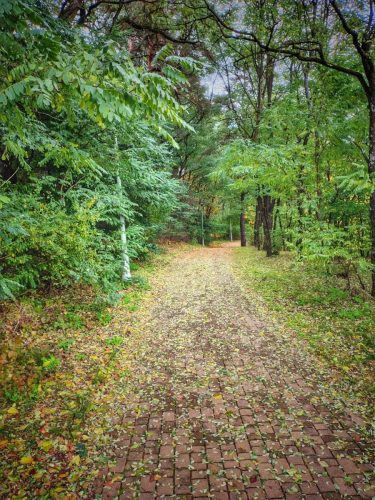 IMG 20251019 122608199 HDR AE