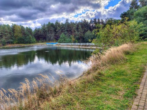 IMG 20251019 122840211 HDR AE