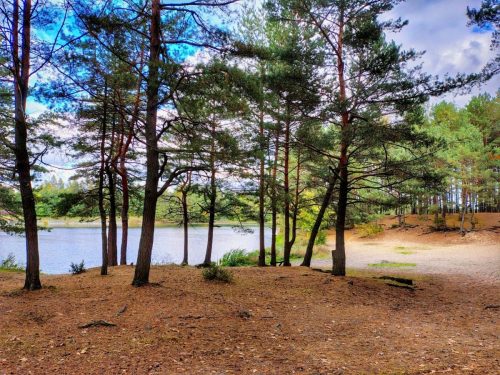 IMG 20251019 123626702 HDR AE