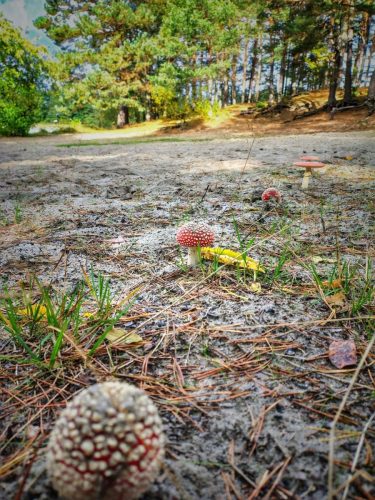 IMG 20251019 123757620 HDR AE