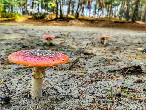 IMG 20251019 123809458 HDR AE