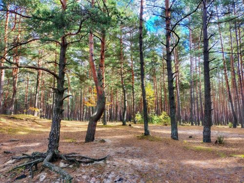 IMG 20251019 123831304 HDR AE