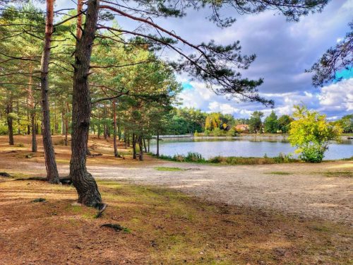 IMG 20251019 123844284 HDR AE