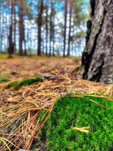 IMG 20251019 124018999 HDR AE