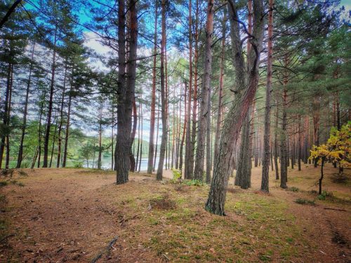 IMG 20251019 124058098 HDR AE