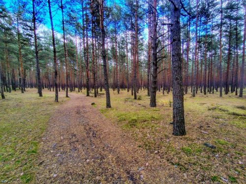 IMG 20251019 124407646 HDR AE