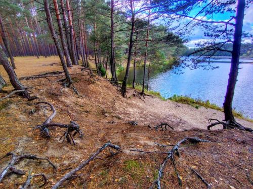 IMG 20251019 124709590 HDR AE