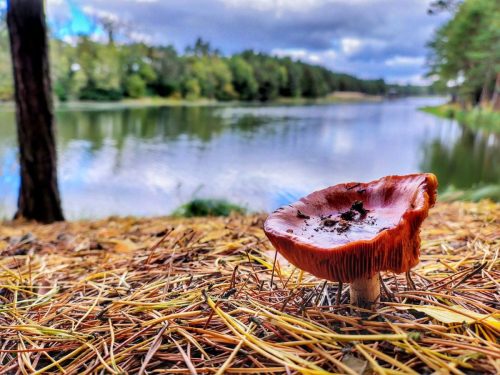 IMG 20251019 124859765 HDR AE