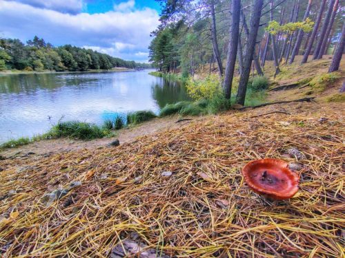 IMG 20251019 124910505 HDR AE