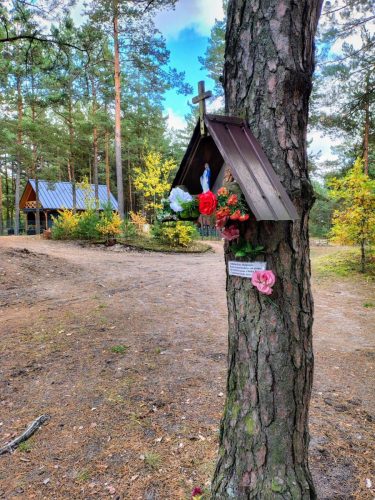 IMG 20251019 125214201 HDR AE