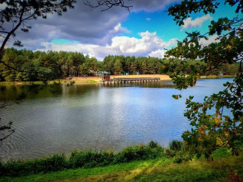 IMG 20251019 125533842 HDR AE