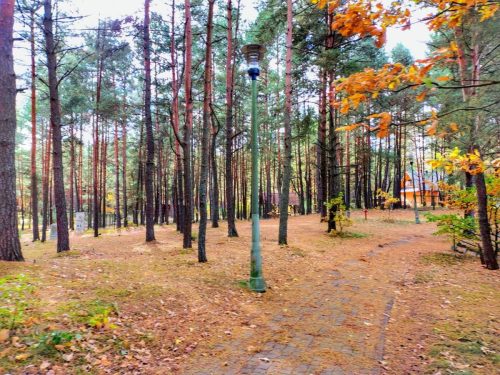 IMG 20251019 125542701 HDR AE