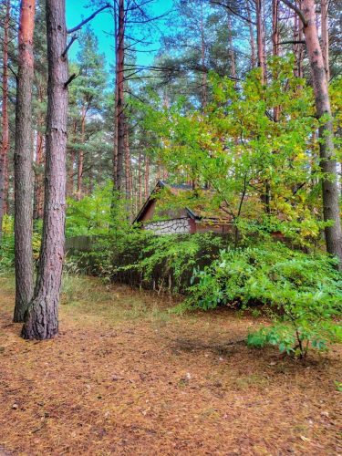 IMG 20251019 125857320 HDR AE