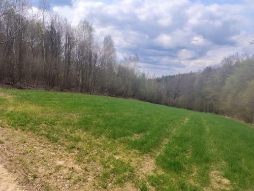 IMG 20260412 133529047 HDR AE