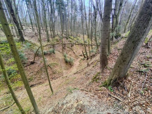 IMG 20260412 135810419 HDR AE