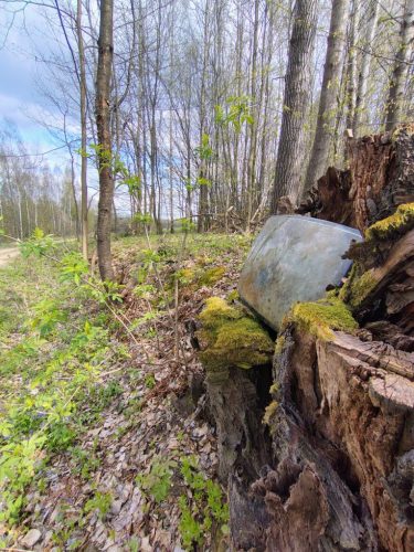 IMG 20260412 141034979 HDR AE