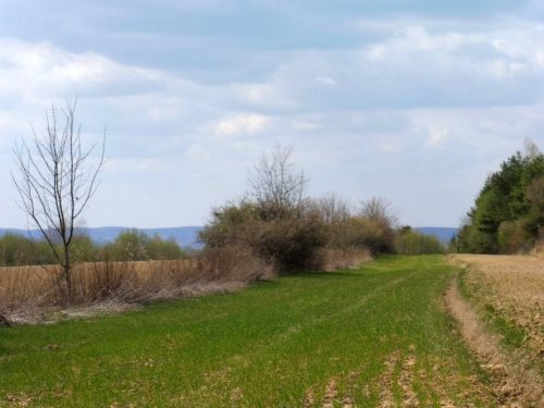 P1100547