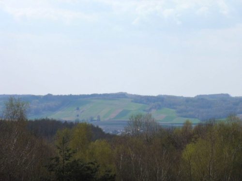 P1100549