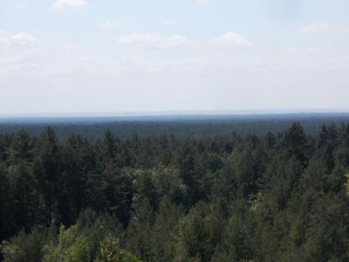 DSCN0338