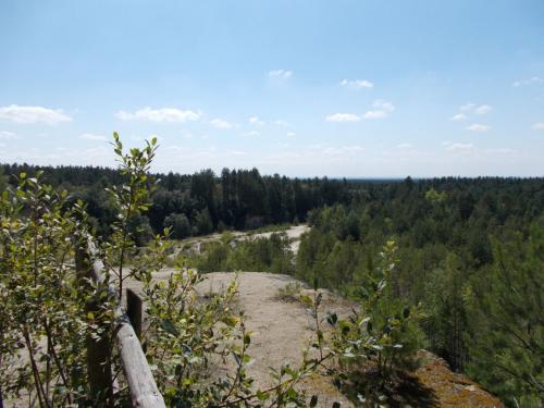DSCN0344