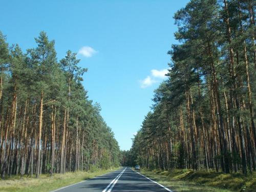 DSCN0347