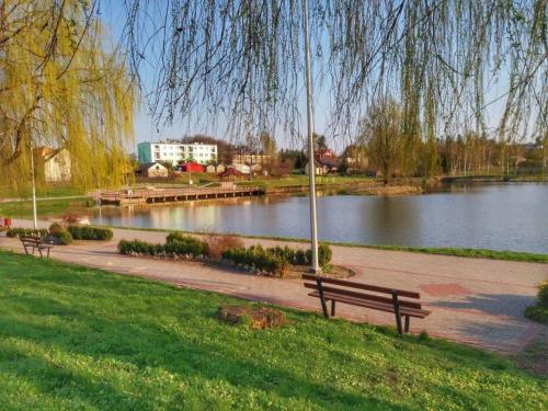 wojsawice pow chemski 18 20170405 1039707748