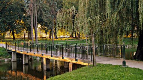 zamosc-2011-2015-23