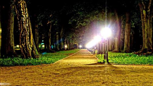 zamosc-2011-2015-28