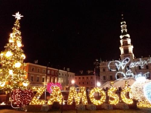zamosc-2018-2019-7