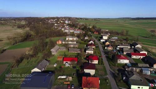 wiosna 2020 13 20200707 1970157870