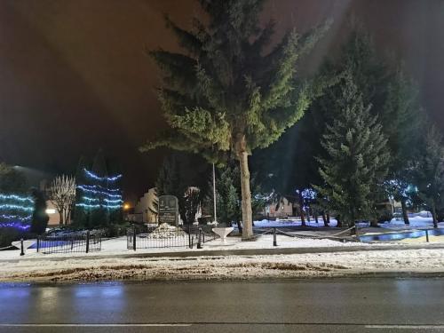IMG 20211224 202853