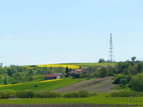 bronislawka-5