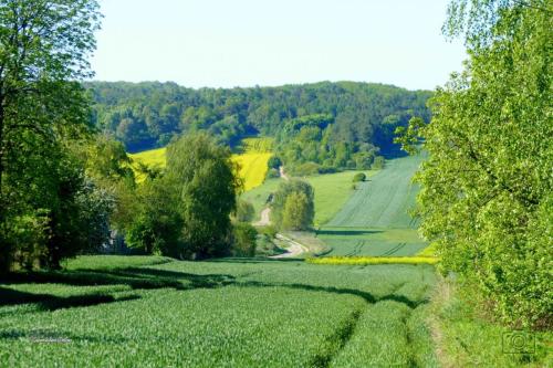 grabowiec-gora-rezerwat-susla-2