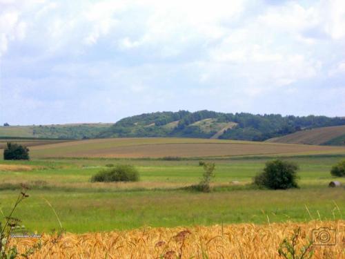 grodzisko-w-skibicacg