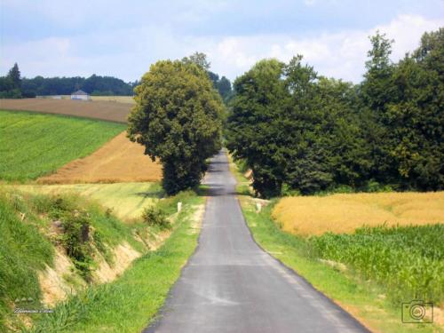 ornatowice-kolonia-1