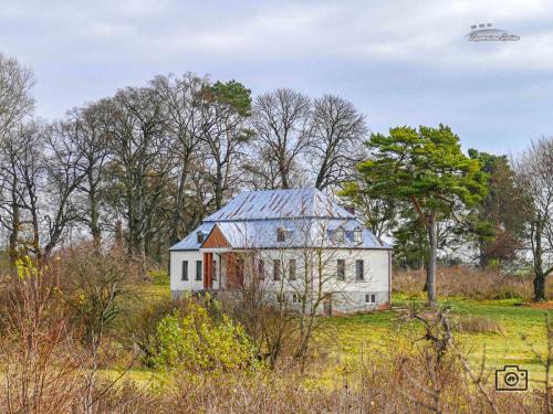 LISTOPAD 2024 - GRABOWCZYK, SZYSTOWICE, ORNATOWICE, ORNATOWICE KOLONIA