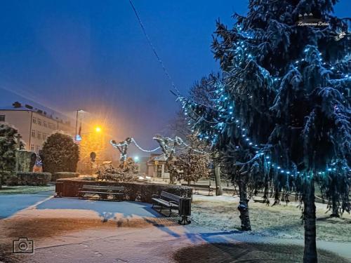 2024.12.23 - RYNEK I KOŚCIÓŁ