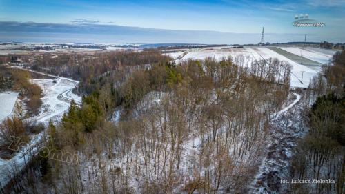 DJI 0151