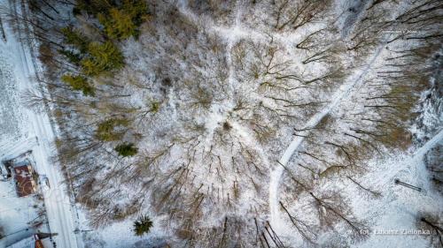 DJI 0164