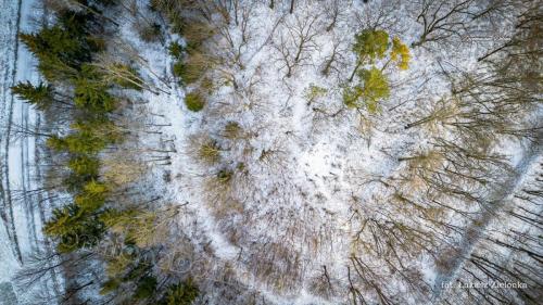 DJI 0165