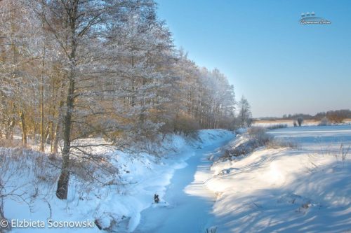 sosnowski-01