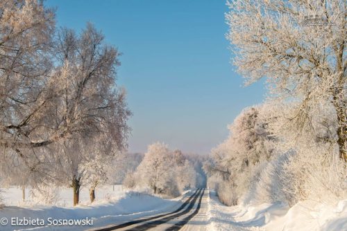 sosnowski-02