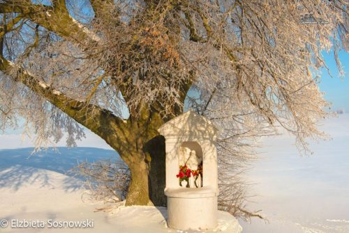 sosnowski-03