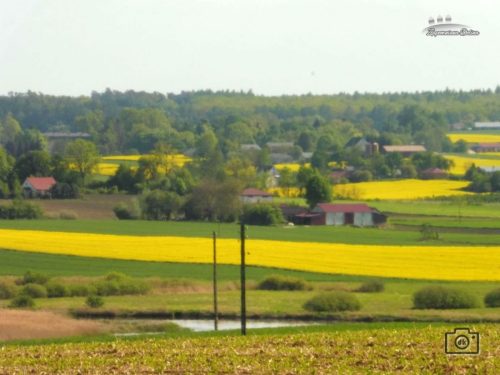 P1100634